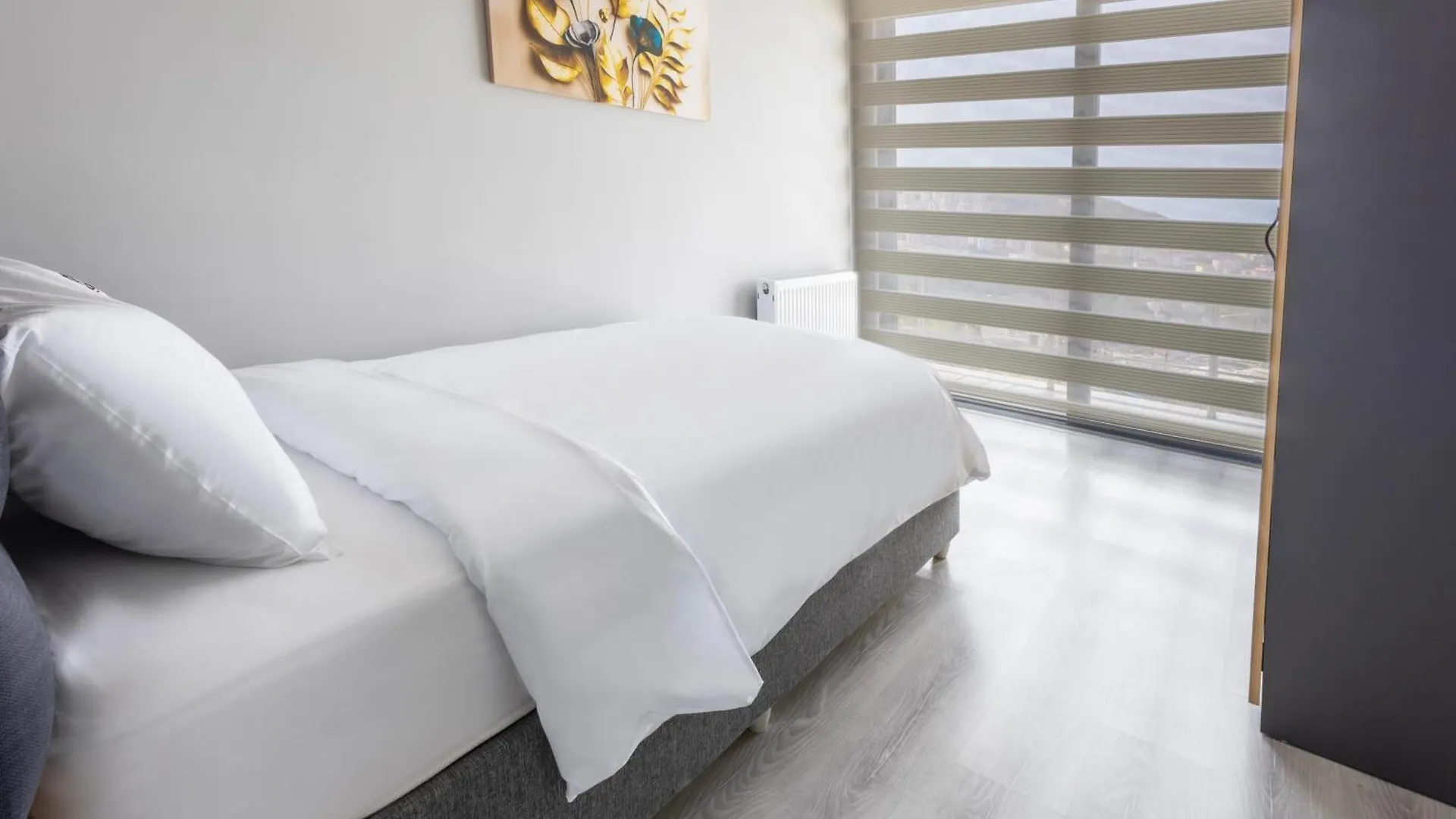 Zal Suite 特拉布宗 0*,  土耳其