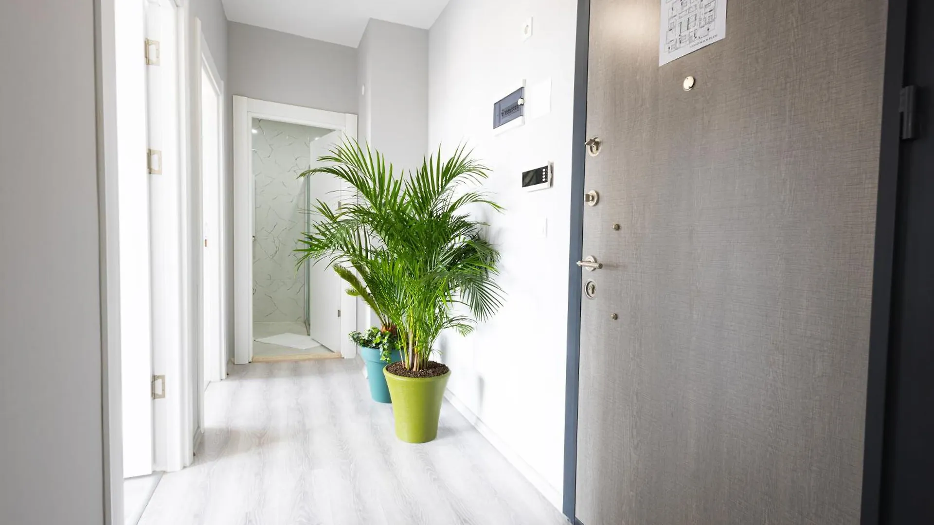 Zal Suite 特拉布宗